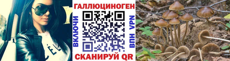 Псилоцибиновые грибы прущие грибы Пустошка